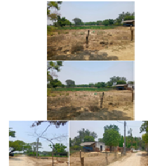 SANKALP TRADING COMPANY-240720251